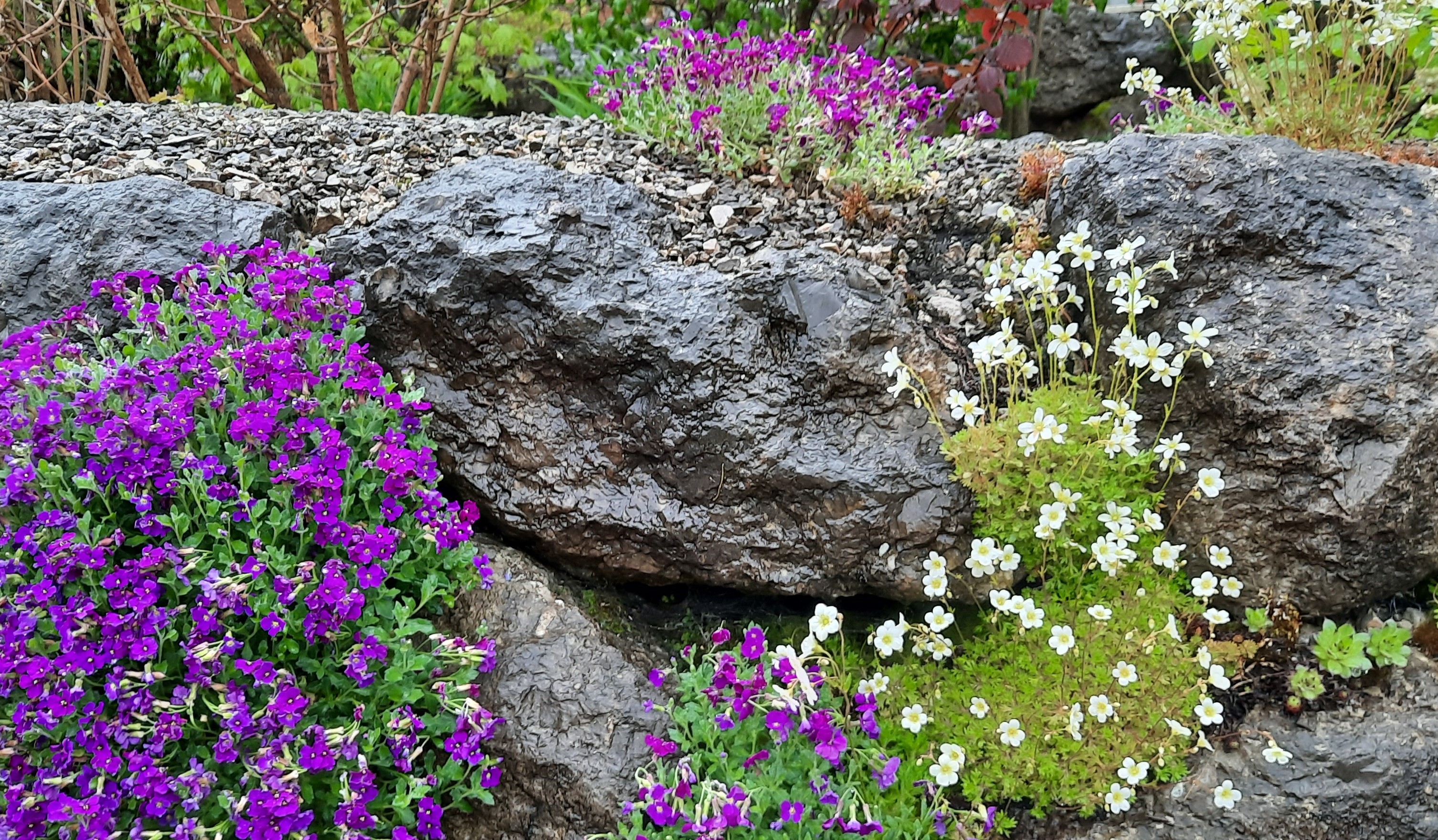 Biodiversität