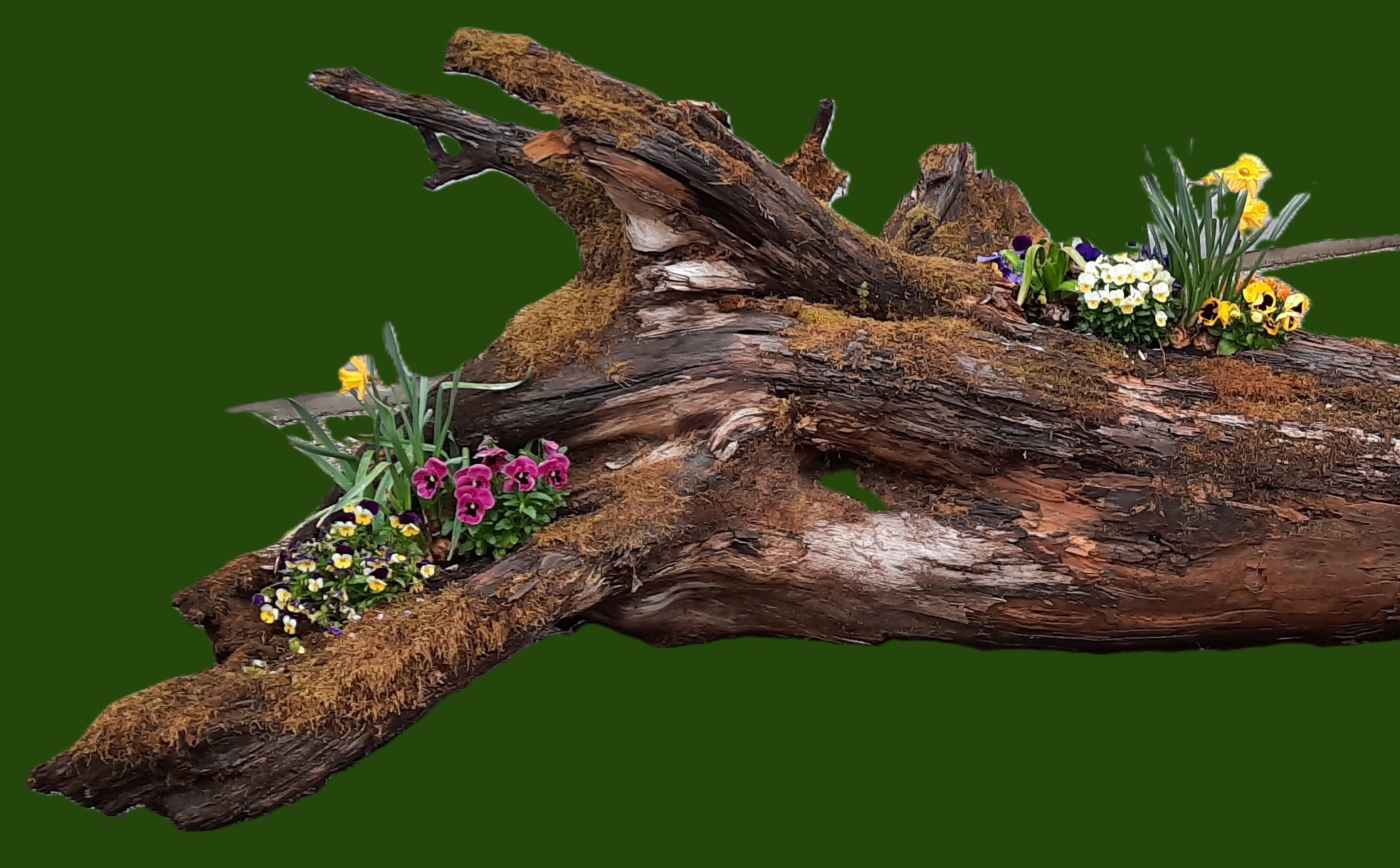 Biodiversität
