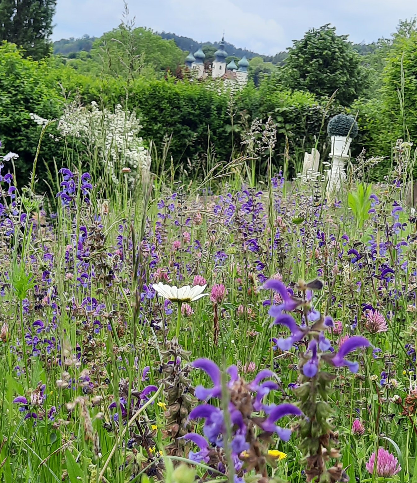Biodiversität