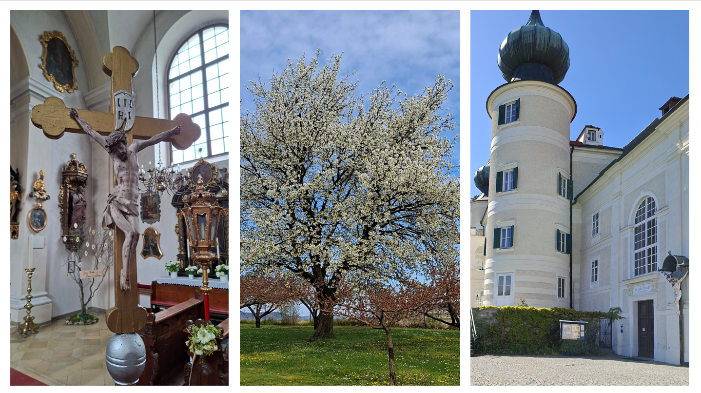 Erstkommunion 2026 / Erich Köberl Schloss Artstetten